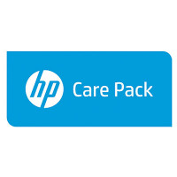 Hewlett Packard FOUNDATION CARE 24X7 SVC