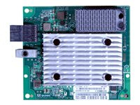 Lenovo ISG ThinkSystem QLogic QML2692 Mezz 16Gb 2-Port Fibre Channel Adapter