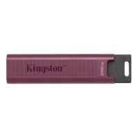 Kingston 256GB USB 3.2 DATATRAVELER MAX