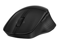 Hewlett Packard HP 685 COMFORT DUAL-MODE MOUSE