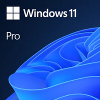 Microsoft WIN PRO 11