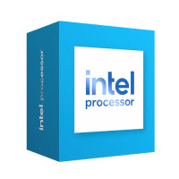 Intel PROCESSOR 300 3.90GHZ