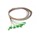 Synergy 21 LWL-Pigtail-LC APC 9/125u. OS2 12-Pack farbig - Kabel - Single- bzw. Monomode-Faser