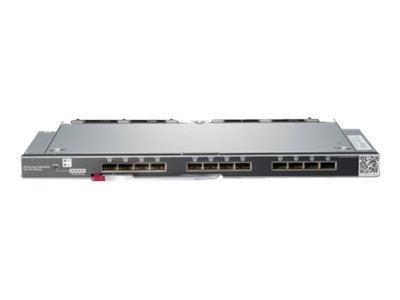 HPE Synergy Pass Thru Module - Netzwerk-Verwaltungsgerät