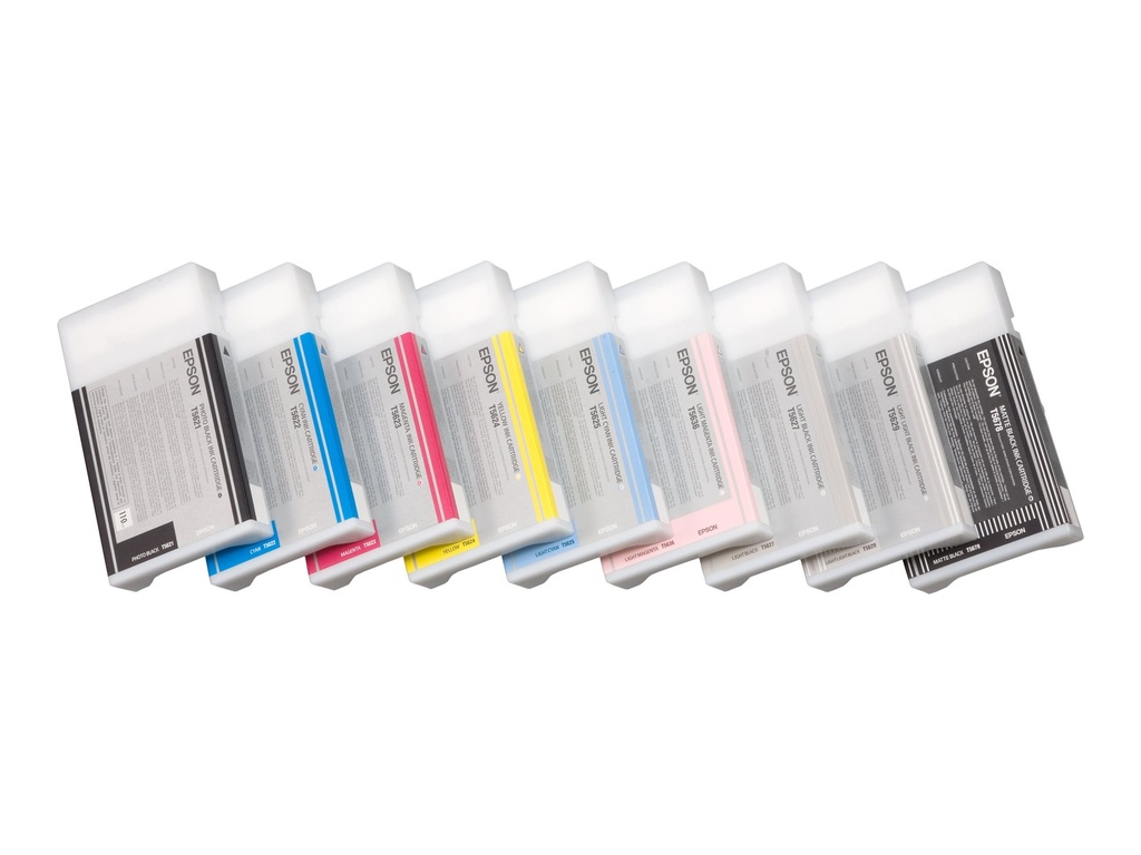 Epson T6029 - Druckerpatrone - 1 x Light Light Black
