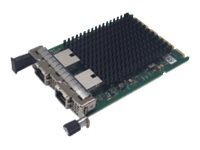 Fsas Technologies FUJITSU PLAN EP Intel X710-T2L - Netzwerkadapter Low-Profile