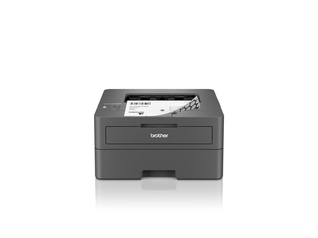 Brother HL-L2447DW - Drucker - s/w - Duplex
