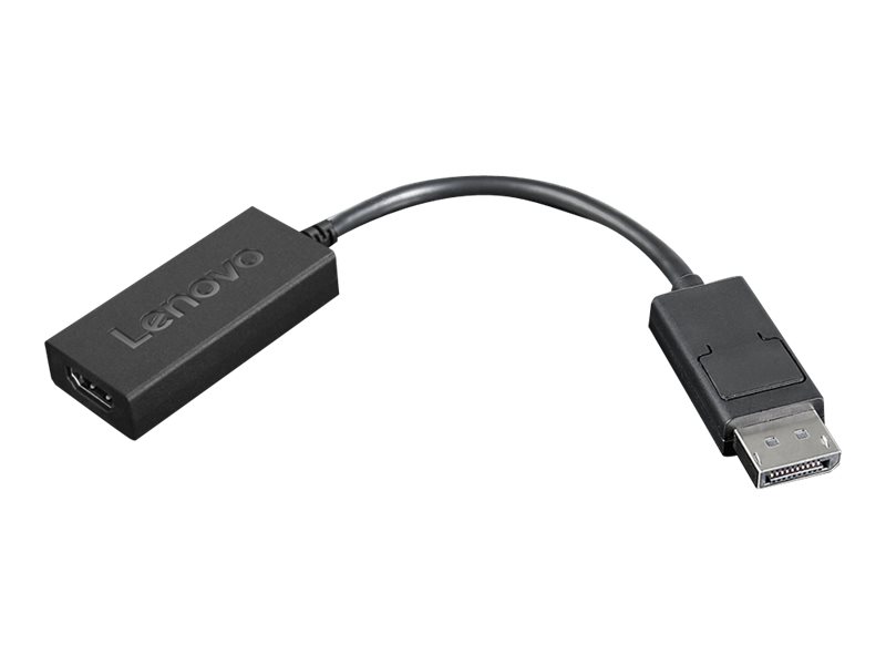 Lenovo Videoadapter - DisplayPort männlich