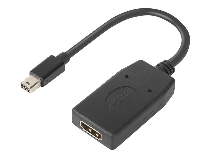 Lenovo Videoadapter - Mini DisplayPort männlich