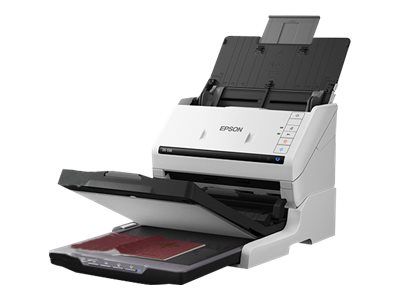 [B12B819011] Epson Zusätzliches Flachbett-Modul für Scanner