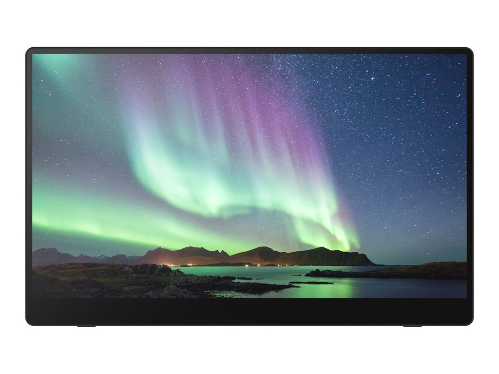 Fsas Technologies Ricoh 150 - OLED-Monitor - 39.6 cm (15.6") - tragbar - Touchscreen - 1920 x 1080 Full HD (1080p)