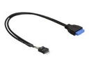 Delock USB-Kabel - 19-poliger USB 3.0 Kopf (W)
