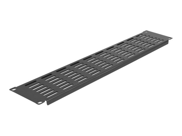 Delock Rackpaneel - Schwarz - 2U - 48.3 cm (19")