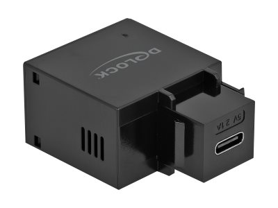 Delock Netzteil - 10.5 Watt - 2.1 A (24 pin USB-C)