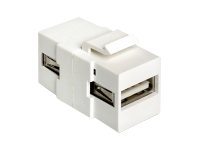 Delock Modularer Einschub (Kopplung) - USB