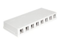 Delock Keystone Surface Mounted Box - Gehäuse