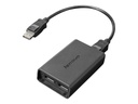 Lenovo DisplayPort-Adapter - DisplayPort (M)