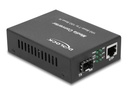 Delock Medienkonverter - 10GbE - 1000Base-T