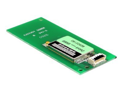 Delock WLAN USB module - Netzwerkadapter - USB