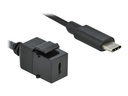 Delock Modulare Eingabe - USB Typ C - Schwarz