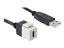 Delock Modulare Eingabe - USB Typ C - weiß