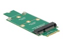 Delock Adapter mSATA > M.2 NGFF - Speicher-Controller