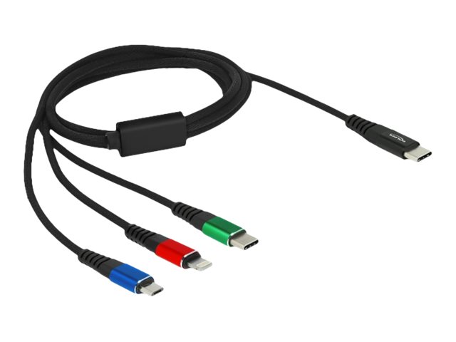 Delock 3 in 1 - Kabel nur zum Laden - 24 pin