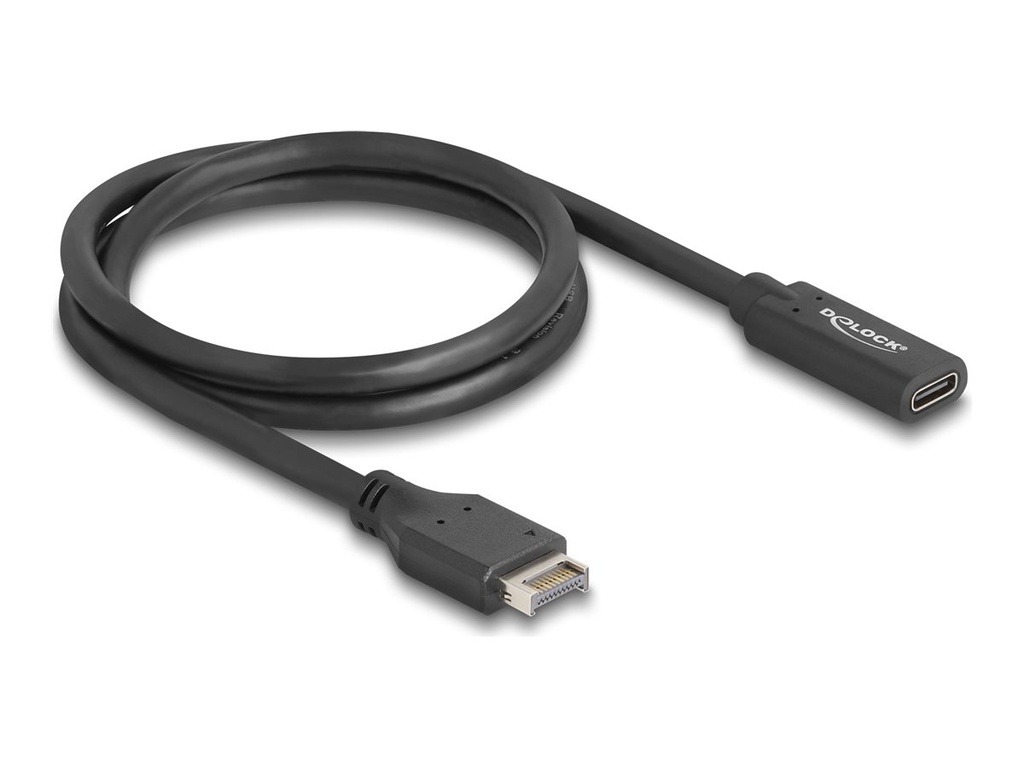 Delock USB-Kabel - 20-poliger USB Typ E (M)