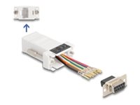 Delock Serieller Adapter - DB-9 (W) zu RJ-45 (W)