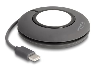 Delock Ladekabel für Smartwatch - 24 pin USB-C
