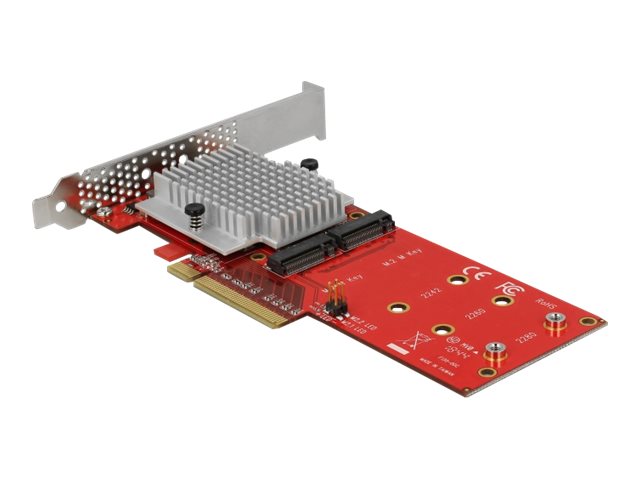 Delock PCI Express Card > 2 x internal M.2