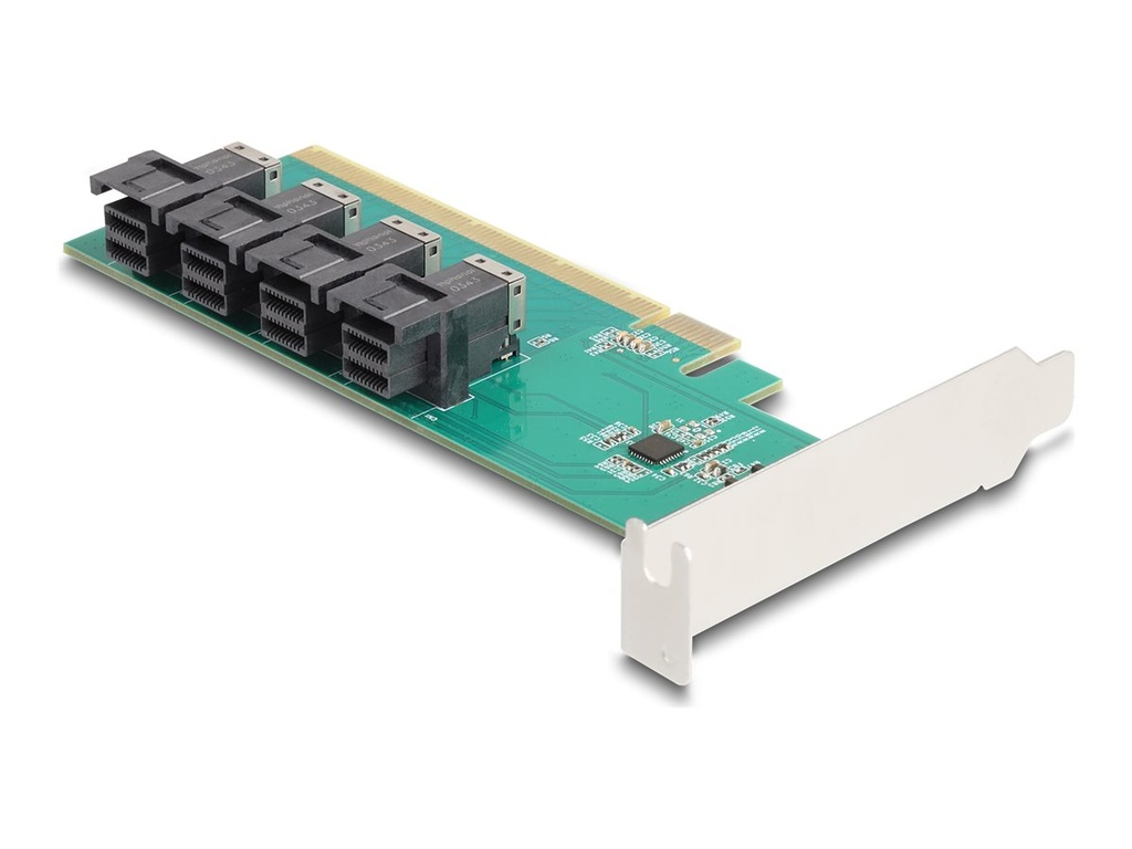 Delock Speicher-Controller - Gabelung - U.2