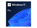 Microsoft Windows 11 Pro - Lizenz - 1 Lizenz - OEM - DVD