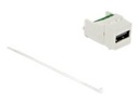 Delock Modulare Eingabe - USB 2.0 Type A