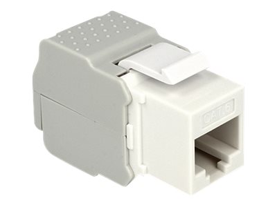 Delock Modulare Eingabe - CAT 6 - UTP - RJ-45
