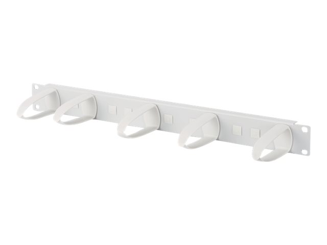 DIGITUS Professional DN-97601-2 - Kabelführungsplatte für Schaltschrank - Hellgrau, RAL 7035 - 1U - 48.3 cm (19")