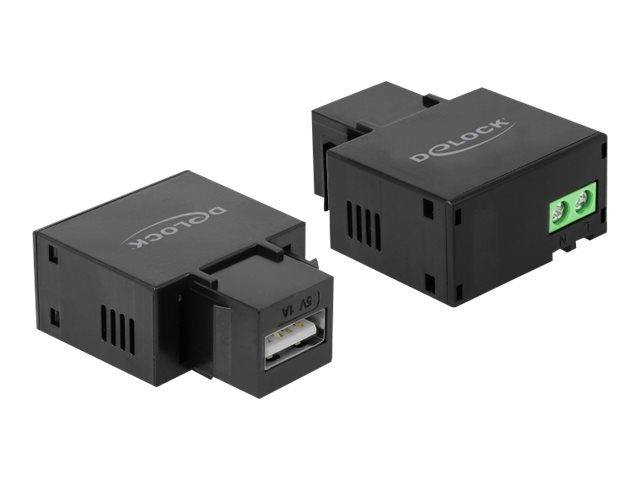 Delock Modulare Eingabe - USB-Ladefunktion