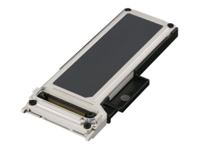 Panasonic FZ-VSDG21T23 - SSD - verschlüsselt