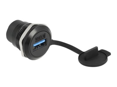 Delock Einrastmodul - USB 3.2 Gen 1 mit Staubschutzkappe