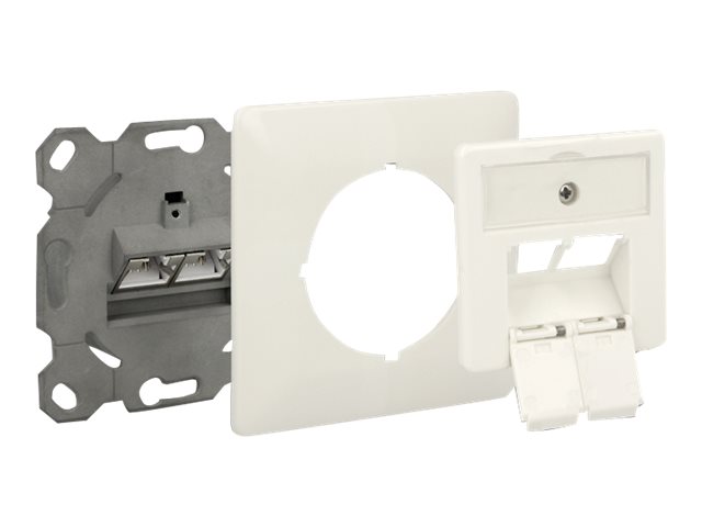 Delock Modular Wall Outlet flush mount 2 Port