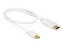 Delock Adapterkabel - Mini DisplayPort männlich zu HDMI männlich