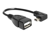 Delock USB-Kabel - Mini-USB, Typ B (M) zu USB (W)