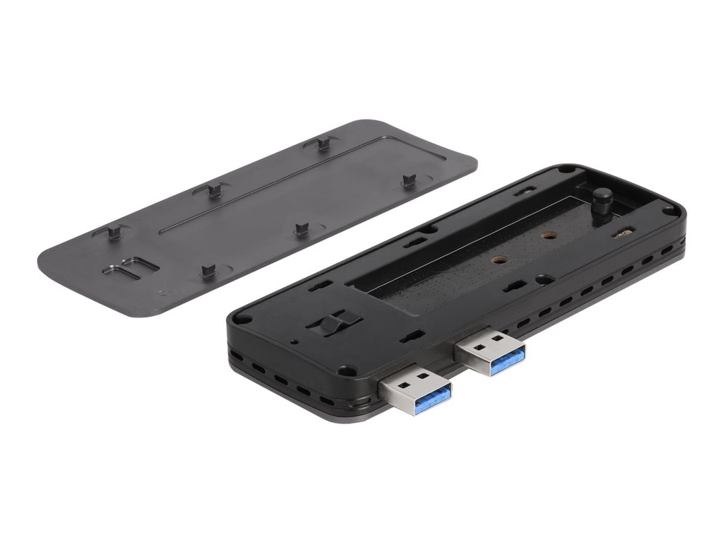[42013] Delock Speichergehäuse - M.2 - NVMe PCIe - PCIe, SATA, USB 3.2 (Gen 2)
