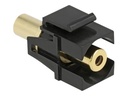 Delock Modulare Eingabe - Mini-Phone Stereo