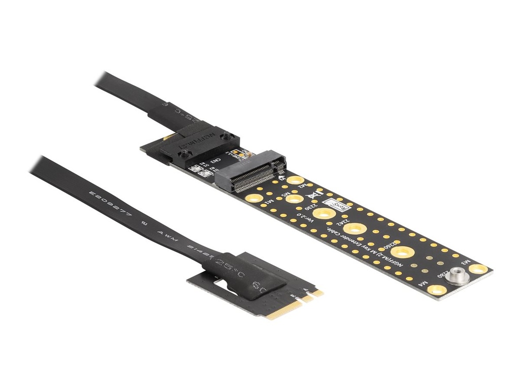 Delock Riser Card