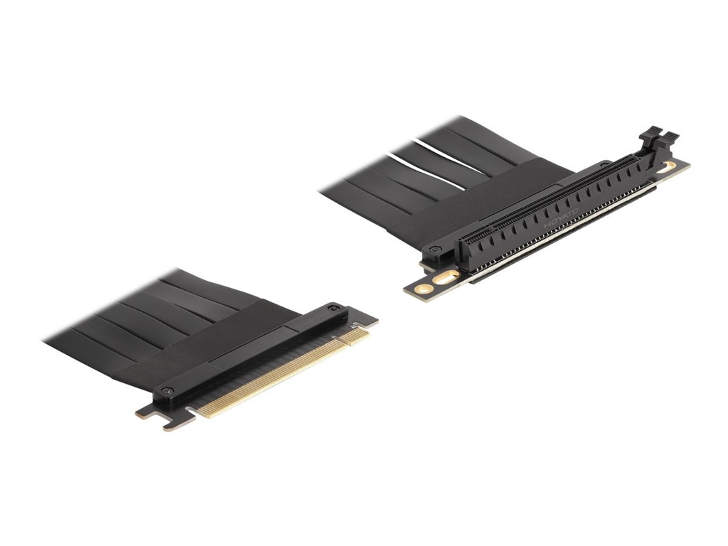 Delock Riser Card