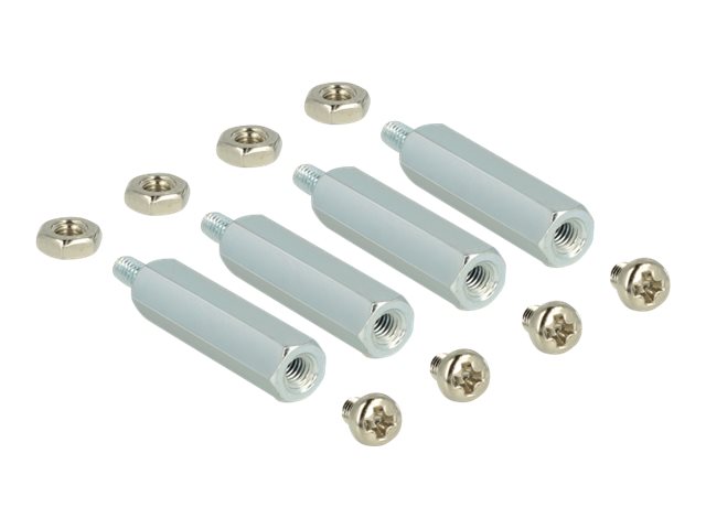 Delock Befestigungskit