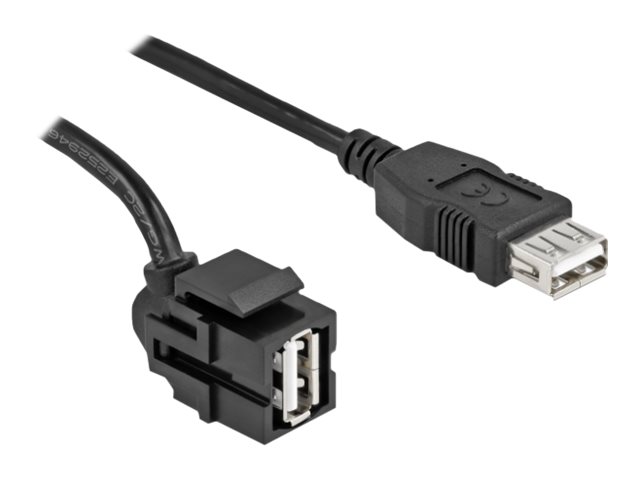 Delock Modularer Einschub (Kopplung) - 250°