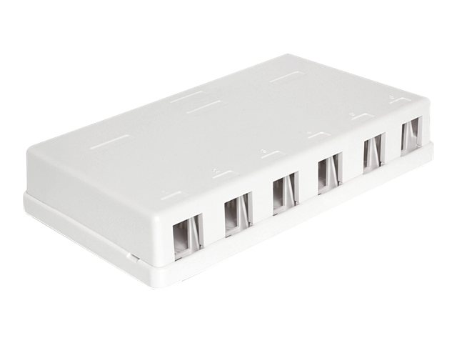 Delock Keystone Surface Mounted Box - Gehäuse