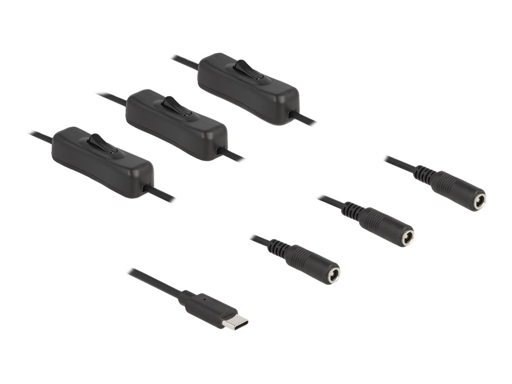 Delock Netz-Splitter - 24 pin USB-C (M) zu Gleichstromstecker 5,5 x 2,1 mm (W)